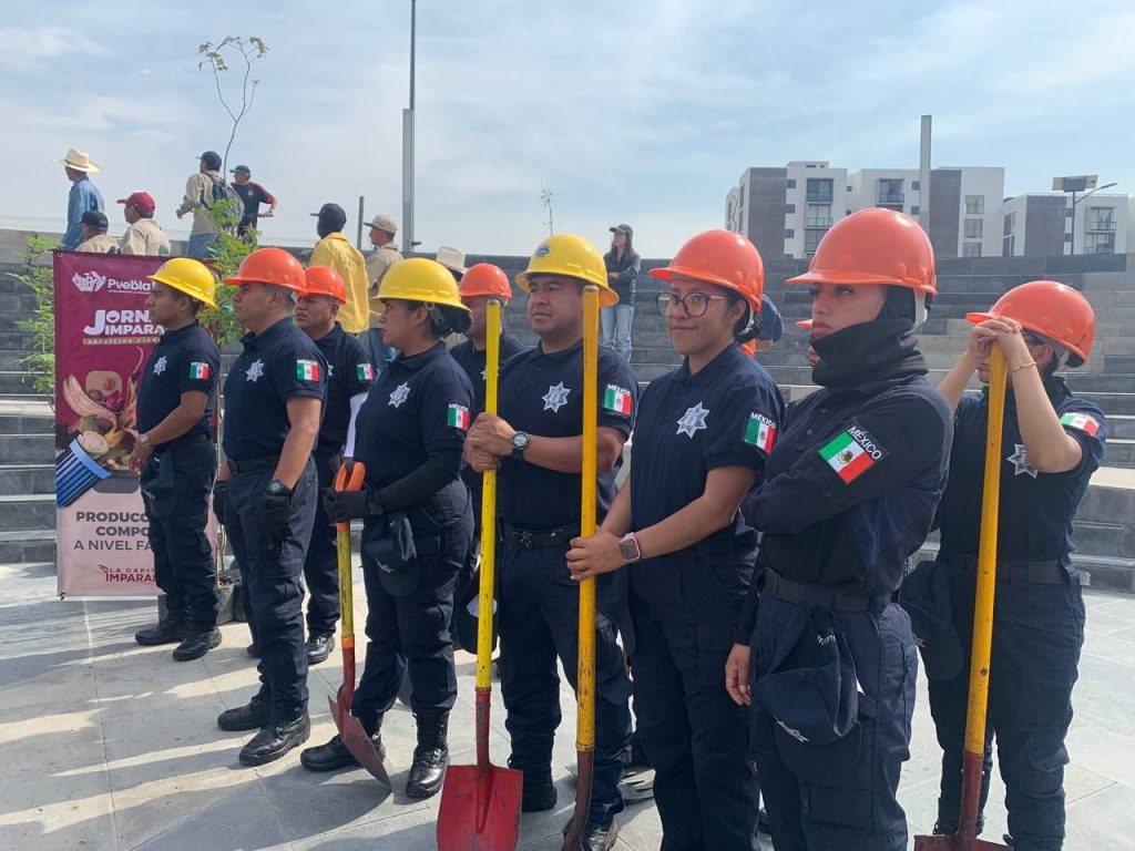 Prevención de incendios Forestales