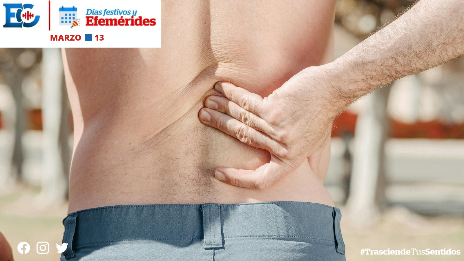 Día Mundial del Riñón,